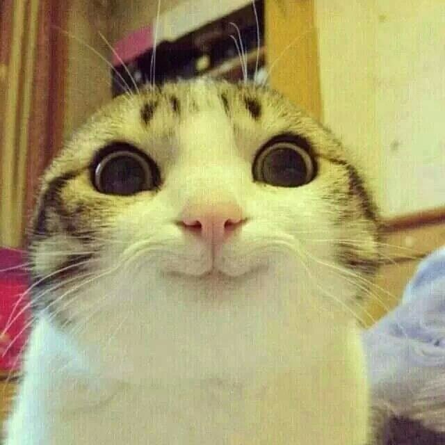 이뿜 이미지