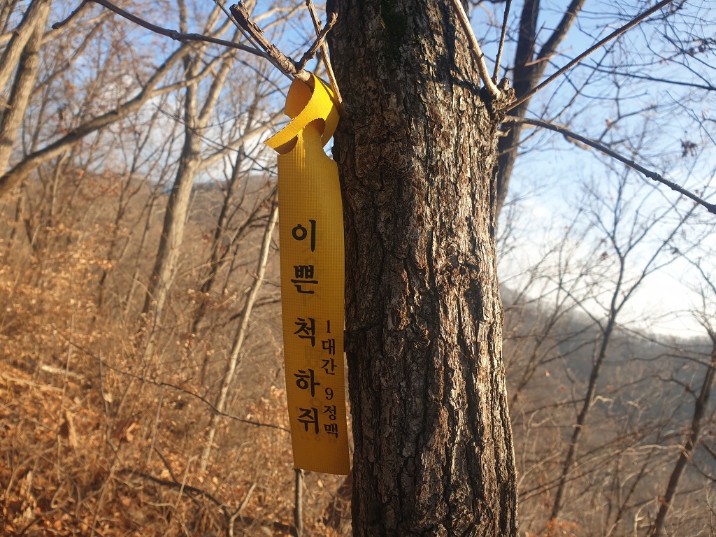 이강운송 이미지