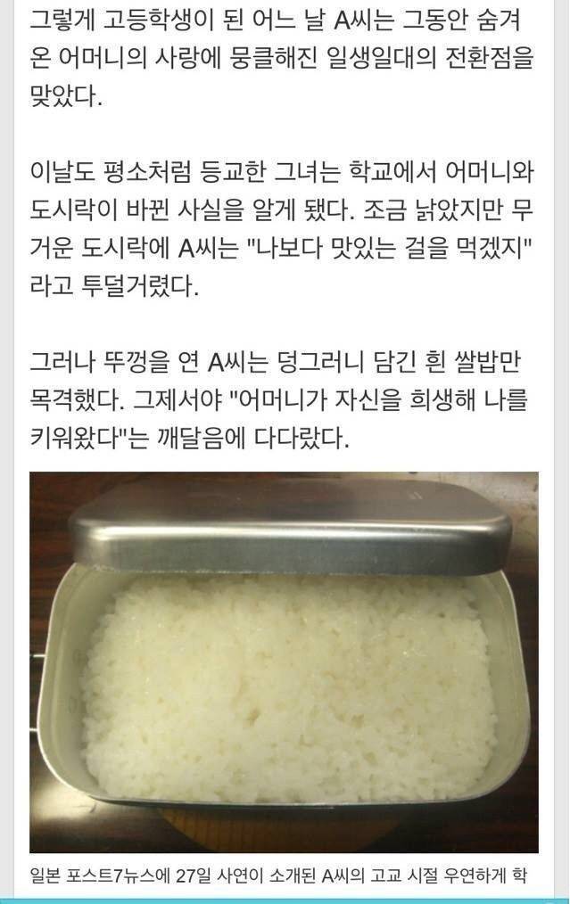 엄마의 도시락.jpg | 인스티즈