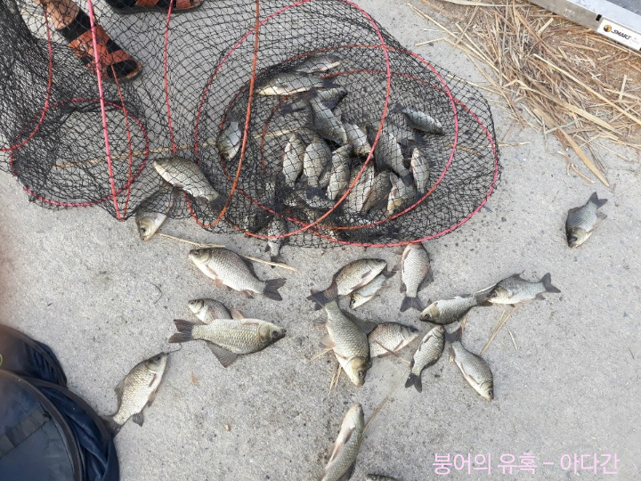 사옥도 이미지