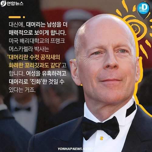 대머리란 수컷 공작새의 화려한 꼬리깃과 같다 | 인스티즈