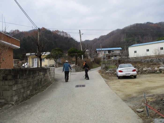 개나리노래연습장 이미지