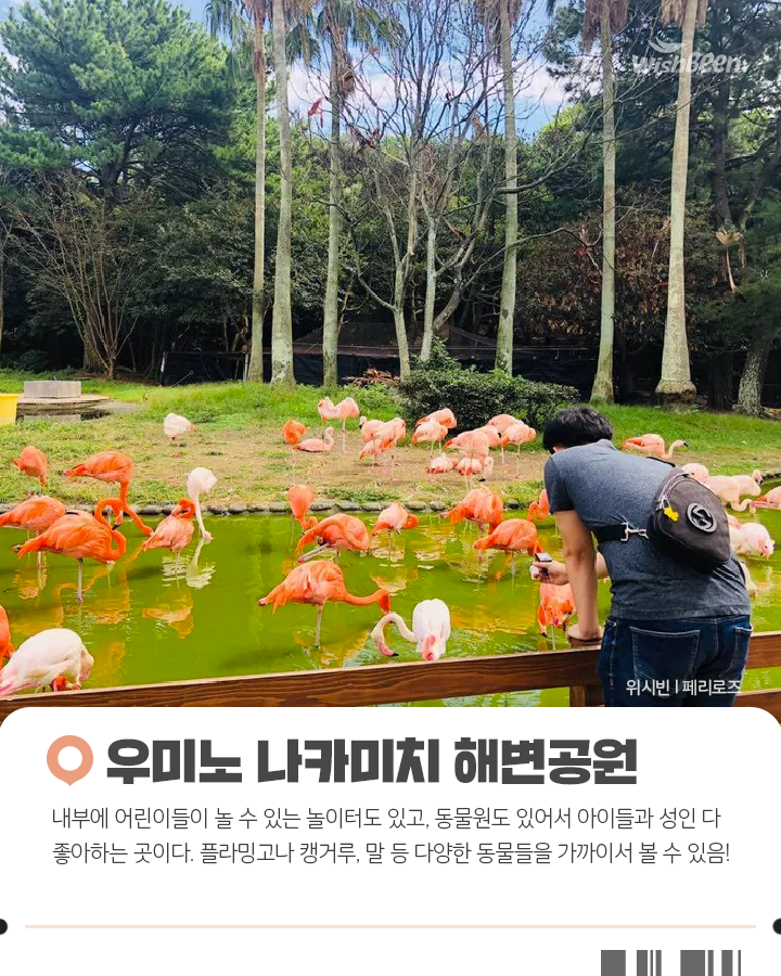 후쿠오카와 유후인 벳푸 다녀온 3박 4일 일정 | 인스티즈