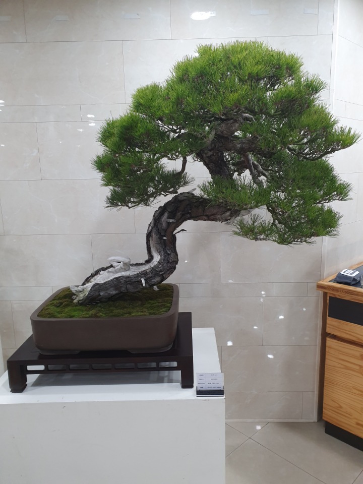대야원 이미지