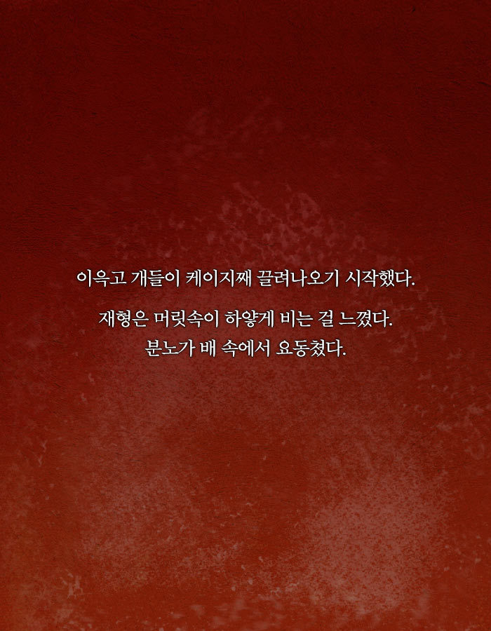 [책소개] 동물병원에 군인들이 닥친 이유 | 인스티즈
