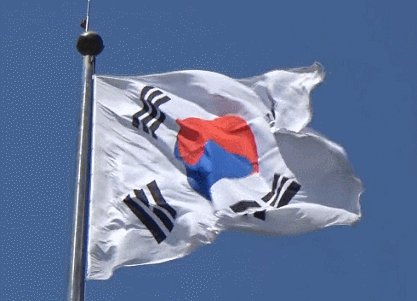 대한민국 국가대표 주전 공격진 발목힘 수준 | 인스티즈