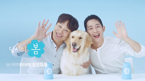 해인광고 이미지
