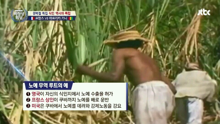 아프리카사람들 노예로 부려먹을려고 조직적인 시스템까지 구축했던 서양 백인들 | 인스티즈