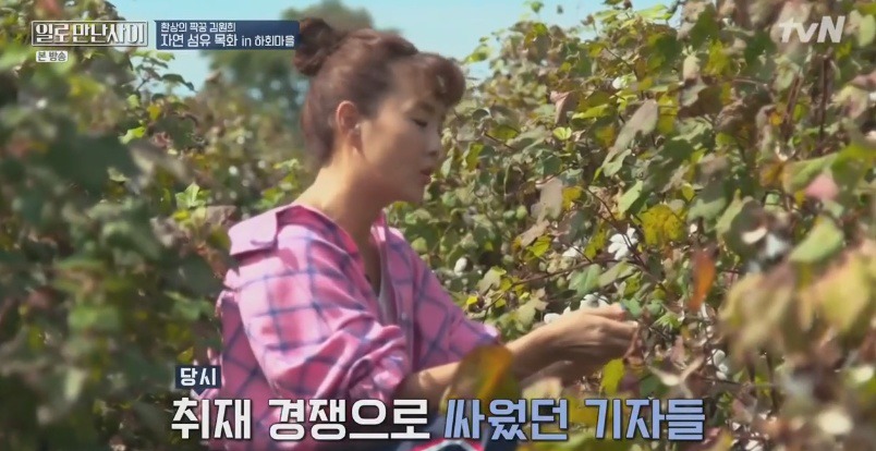 김원희 결혼식에서 욕하고 싸움났던 기자들 | 인스티즈