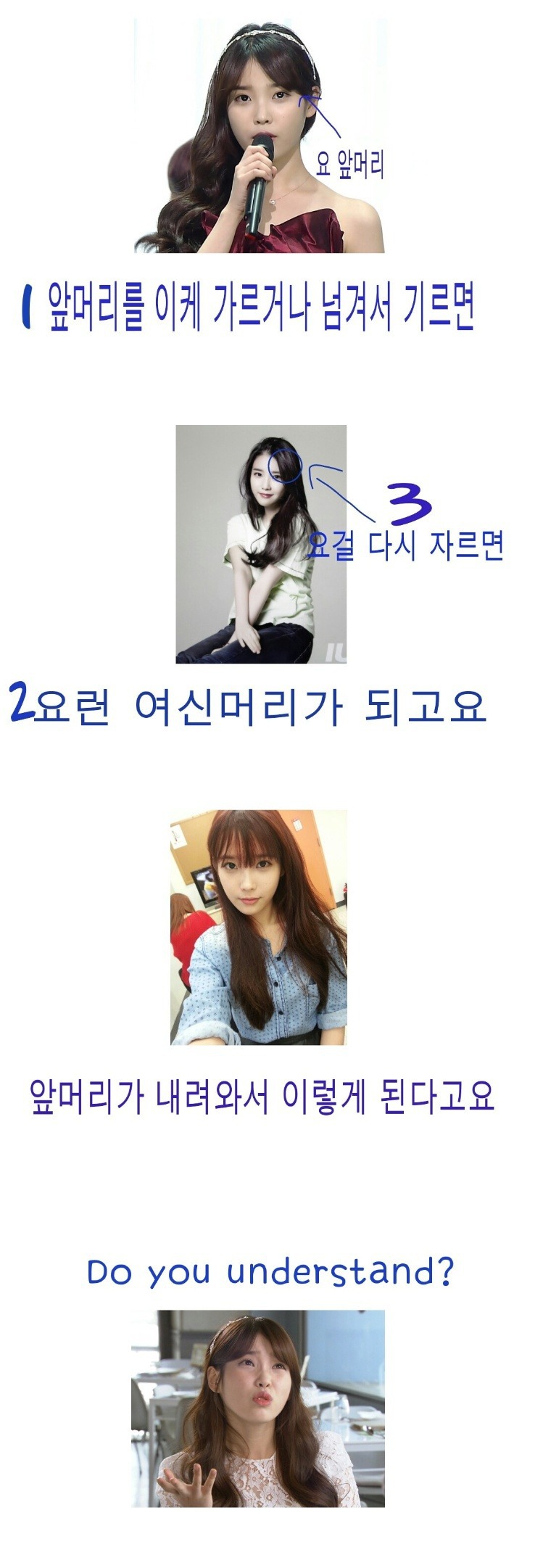전설까진 아니고 레전드인 아이유 팬카페 앞머리 사건.jpg | 인스티즈