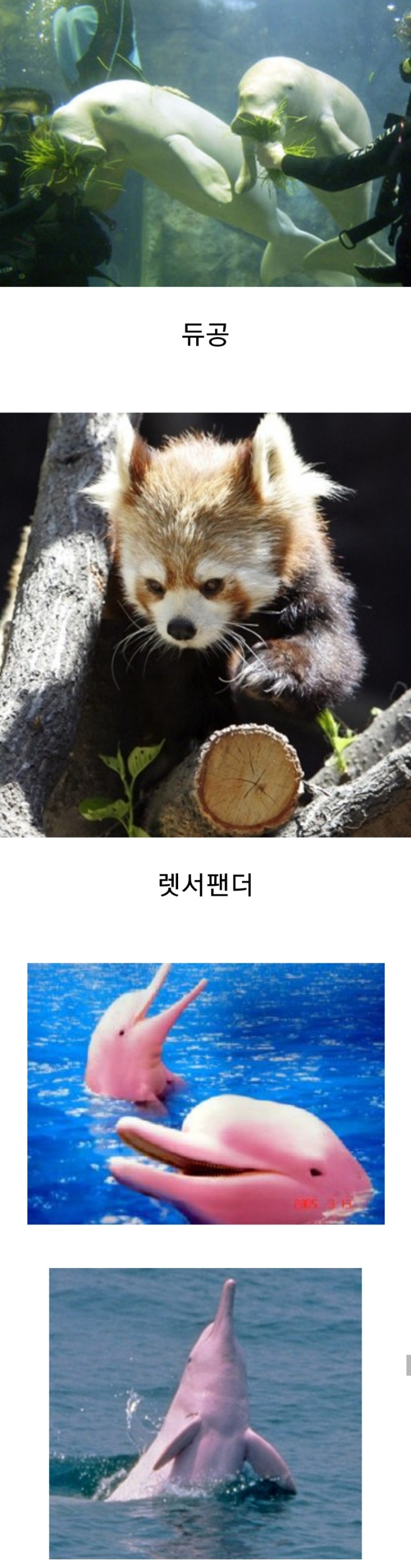 지구를 망치고 멍들게 하는 최악의 바이러스 같은 존재 | 인스티즈