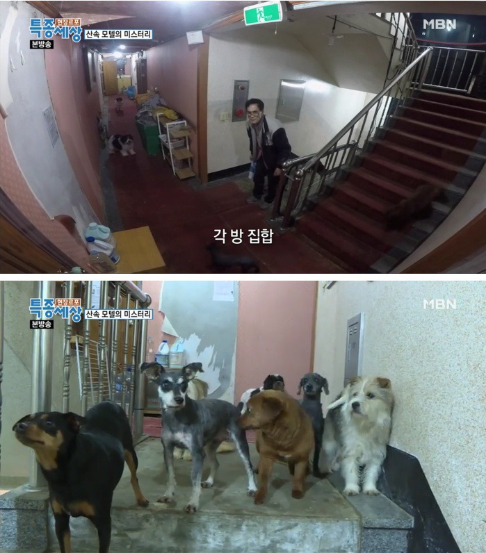엔젤모텔 이미지
