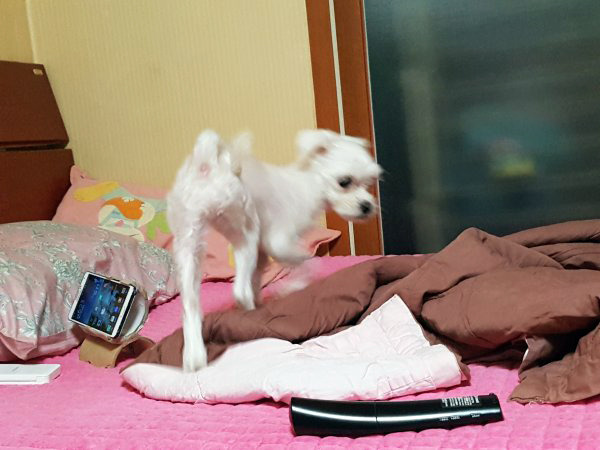 팔달슈퍼 이미지