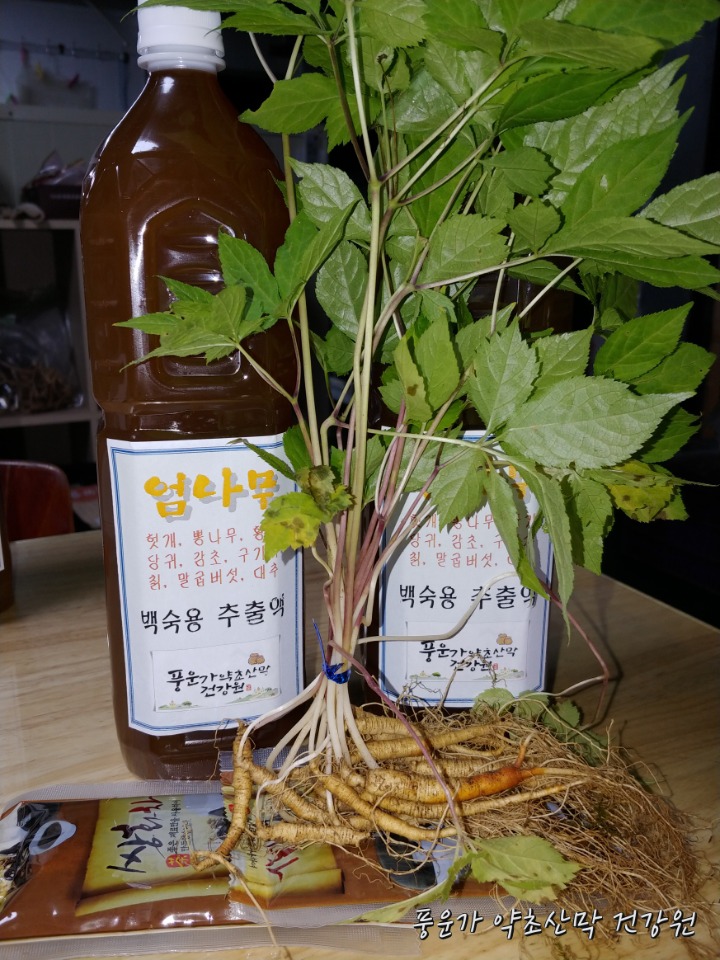 법제쌍화차 이미지