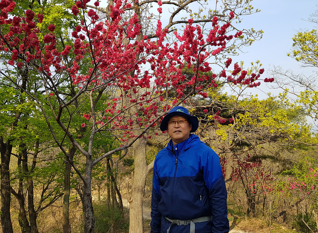 해맞이전망대 이미지