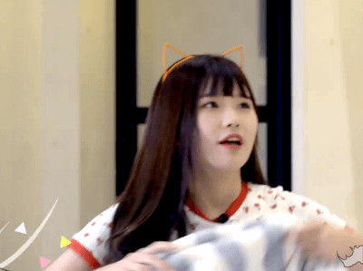 고양이 카페에 간 프로미스나인.gif | 인스티즈
