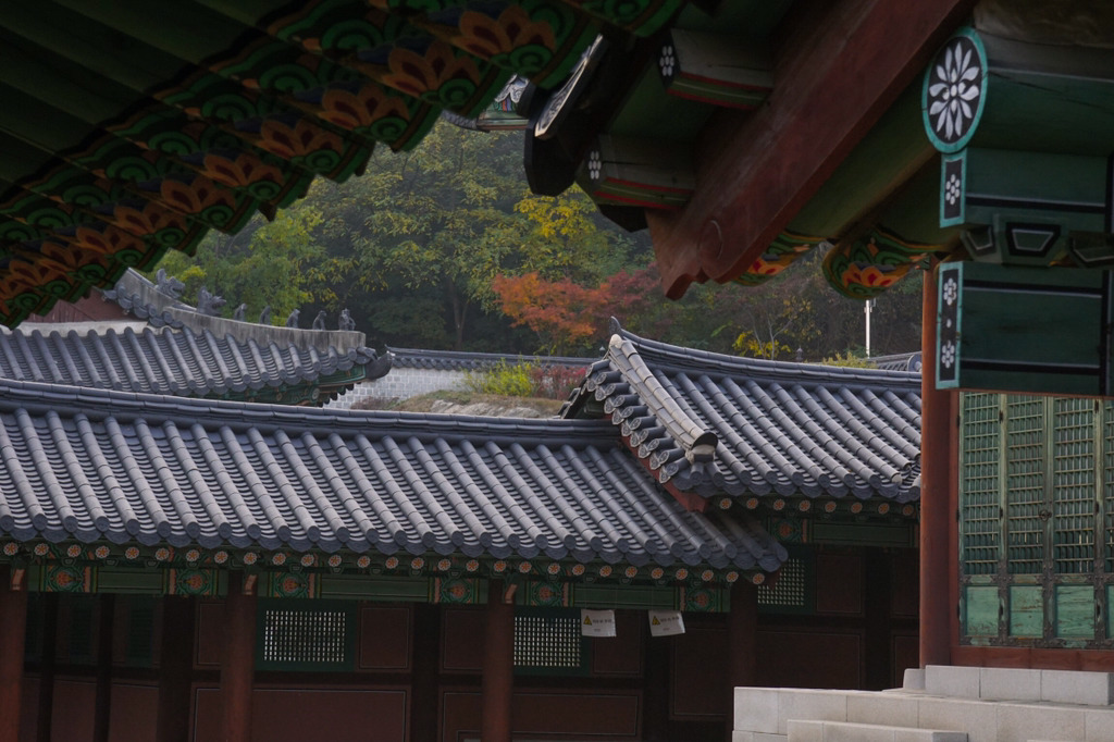 주말간 서울 5대 고궁 탐방 사진 | 인스티즈