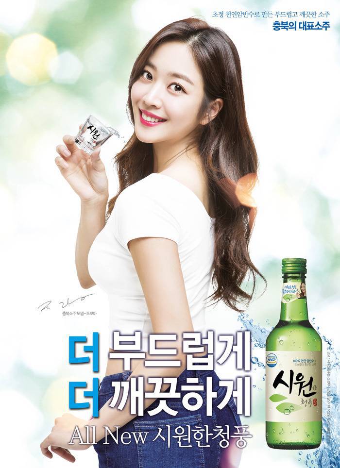 전국 지역별 소주모델 | 인스티즈