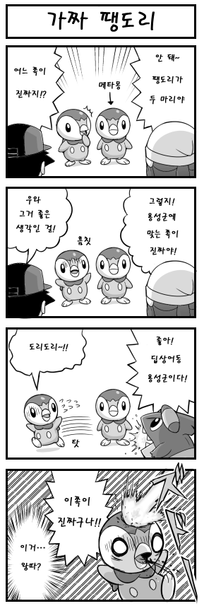 [포켓몬만화] 빛나의 진짜 팽도리 구별법 .jpg | 인스티즈