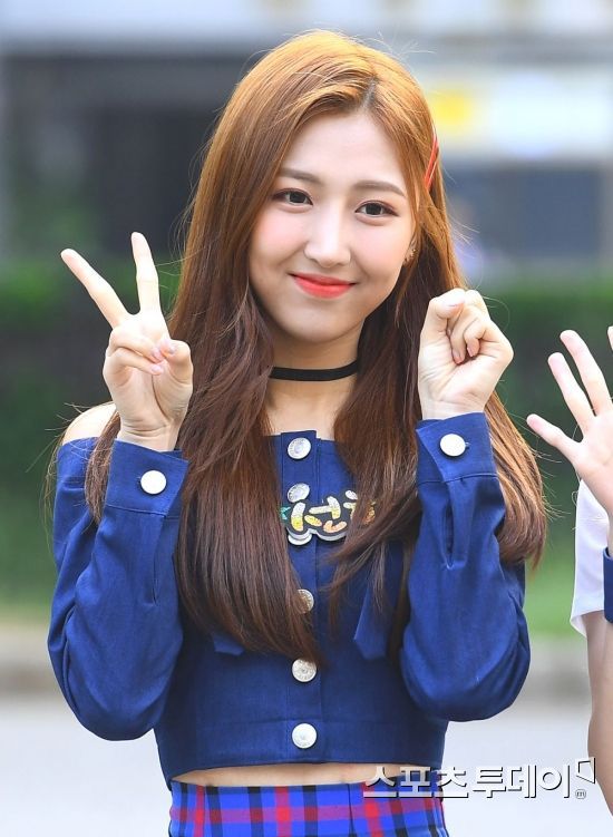 선하루 이미지