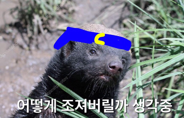 이니시계 중고나라에 판 기자 (얼굴보면 놀람주의) | 인스티즈