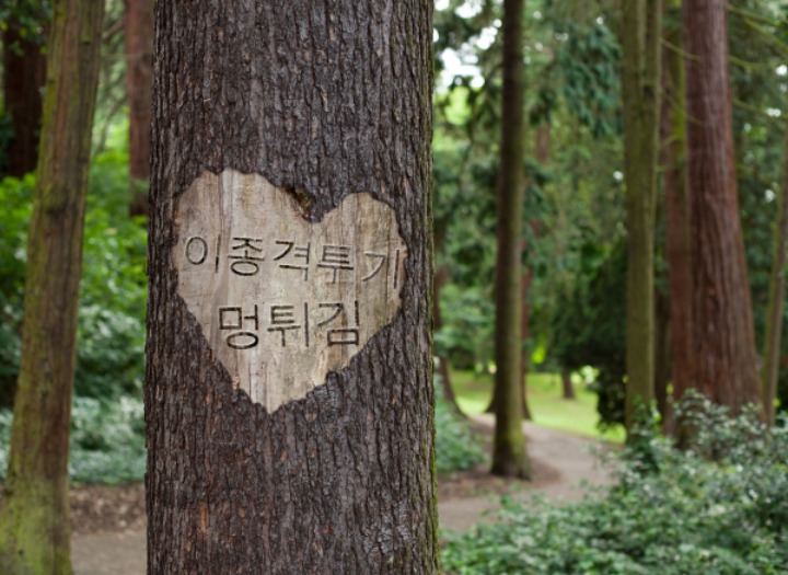 북 응원단 고집 | 인스티즈