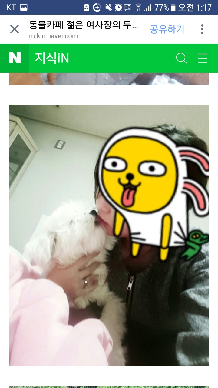 안양시 동물카페 사장의만행 | 인스티즈