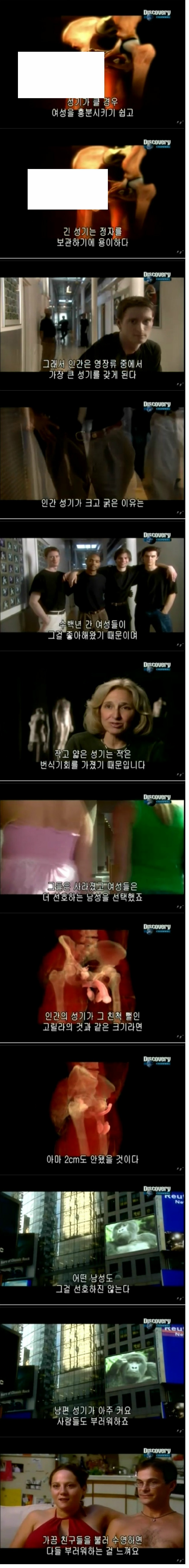 인간의 성기가 크고 굵은 이유 | 인스티즈