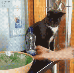 여기에 물병 놓지 말라고.gif | 인스티즈