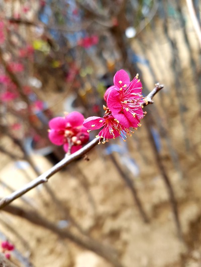 99898B435C8841CD236A60