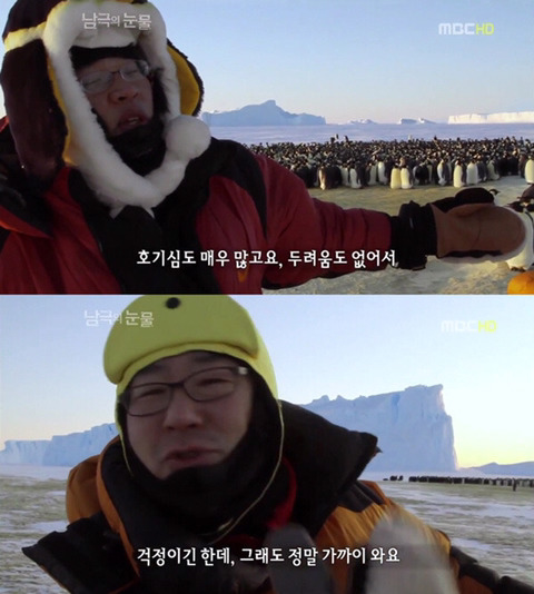 짱귀탱인 남극의 눈물 촬영 당시 펭귄들.gif | 인스티즈