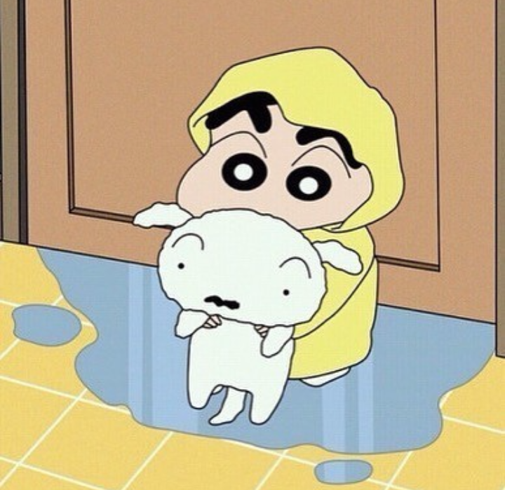 흰둥이 이미지