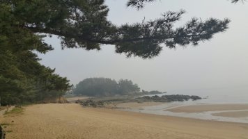 백사장 이미지