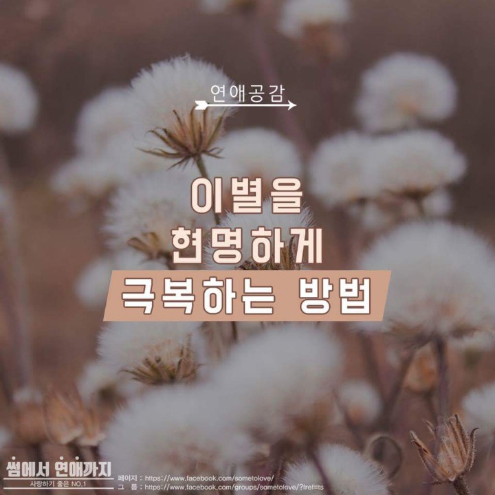 이별을 현명하게 극복하는 방법 | 인스티즈