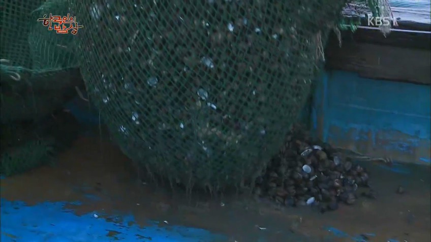 한국인의 밥상 - 인생이 허기질 때 장도로 가라 | 인스티즈