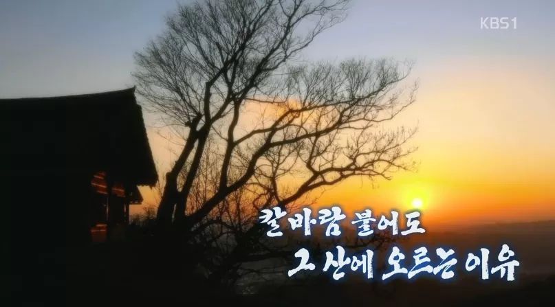한국인의 밥상 - 칼바람 불어도 그 산에 오르는 이유 | 인스티즈
