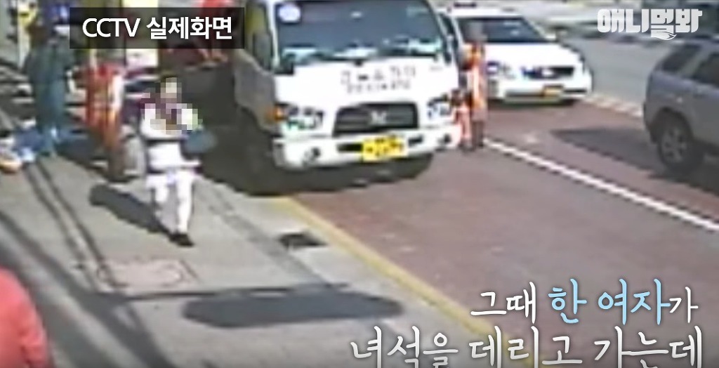 대낮에 남의 개를 납치한 여자 | 인스티즈