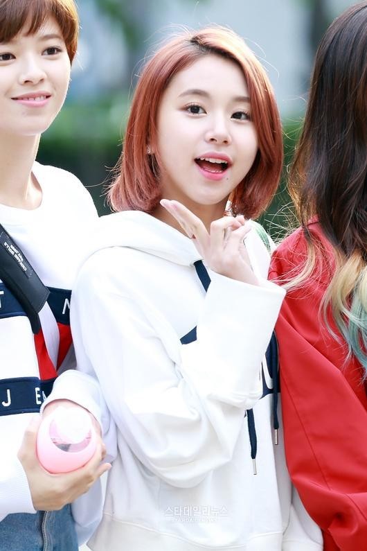 트와이스 채영 | 인스티즈