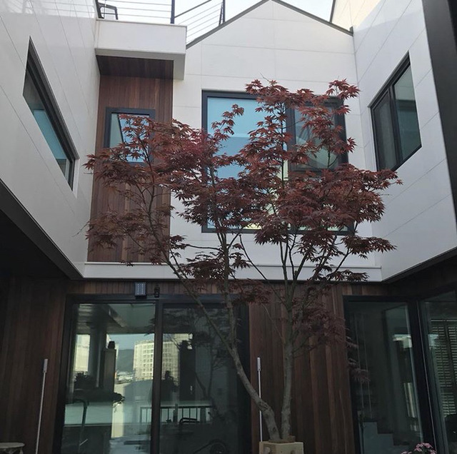 자신의 집 지하를 덕질의 공간으로 꾸민 성공한 덕후의 모습 | 인스티즈
