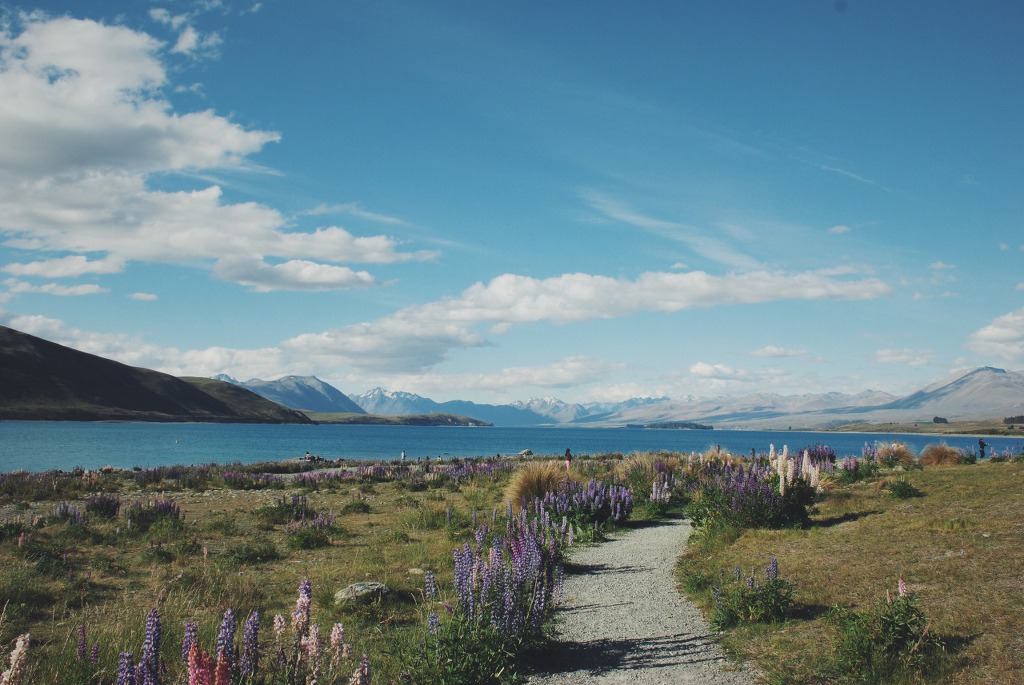 뉴질랜드가 지상낙원이라고 불리는 이유ㄷㄷㄷㄷㄷㄷㄷ. jpg | 인스티즈