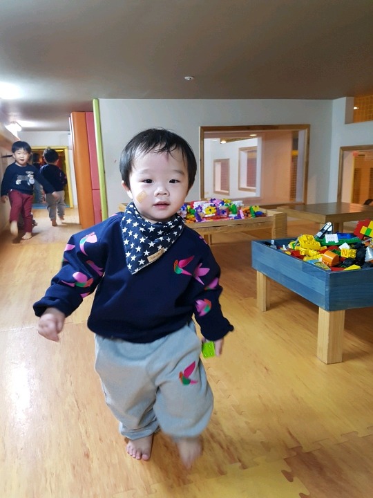 꼬물상 이미지