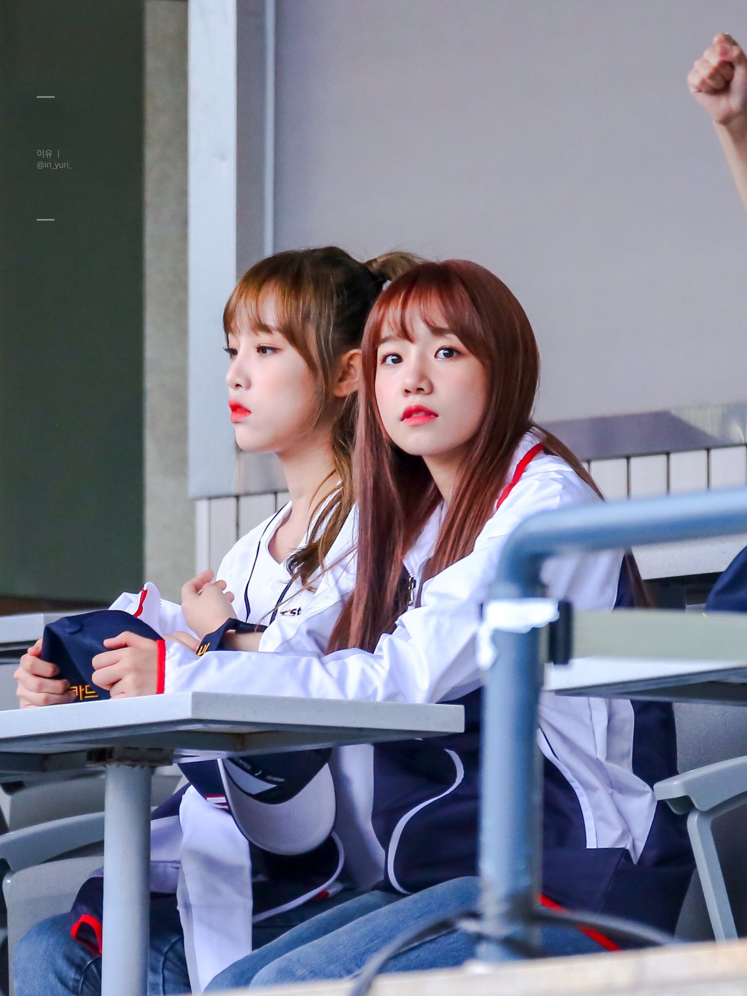 댕댕이같은 아이즈원 조유리.jpg | 인스티즈