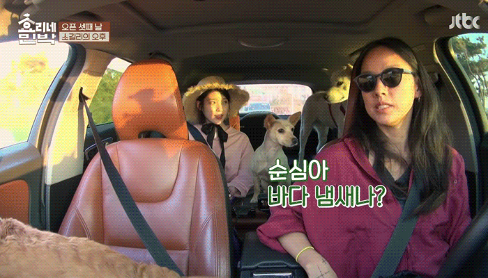 [효리네민박] 아이유에게 마음을 연 모카.gif | 인스티즈
