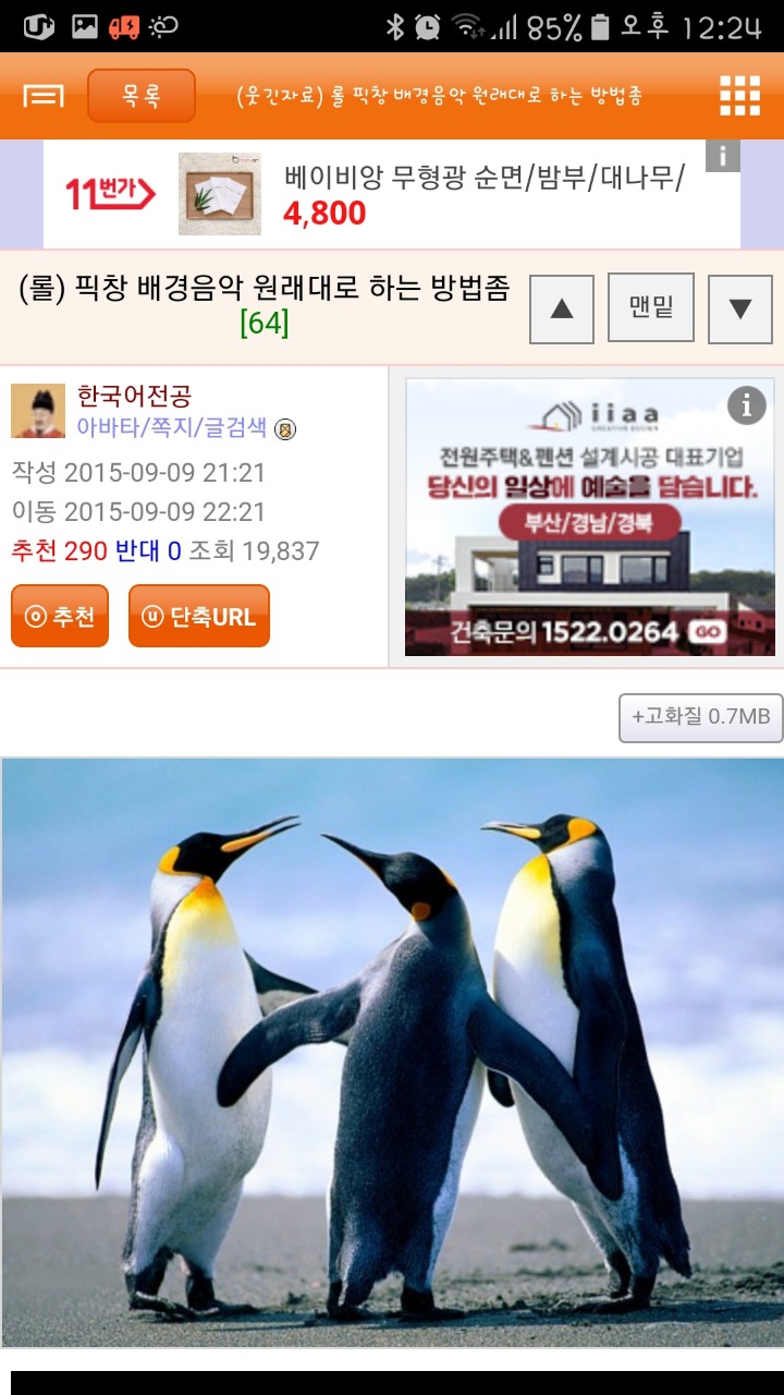 픽창 배경음악 원래대로 하는 방법좀 (롤) | 인스티즈