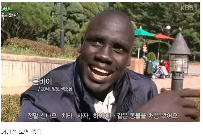아프리카사람이 한국에서 처음본 동물 | 인스티즈