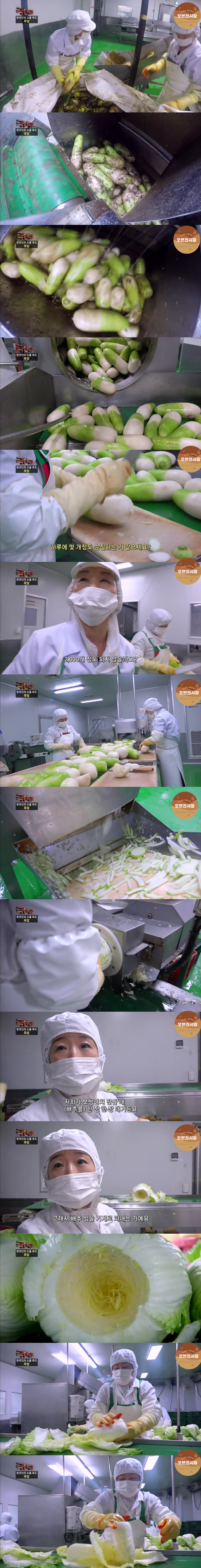 김치공장에서 보쌈김치를 만드는 과정.jpg | 인스티즈