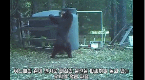 수컷만 아는 그 고통 | 인스티즈
