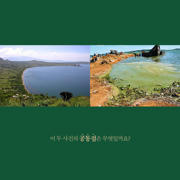 커먼즈 이미지