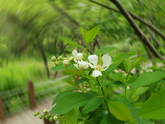 99BEE8345CC64FFF2BEA55