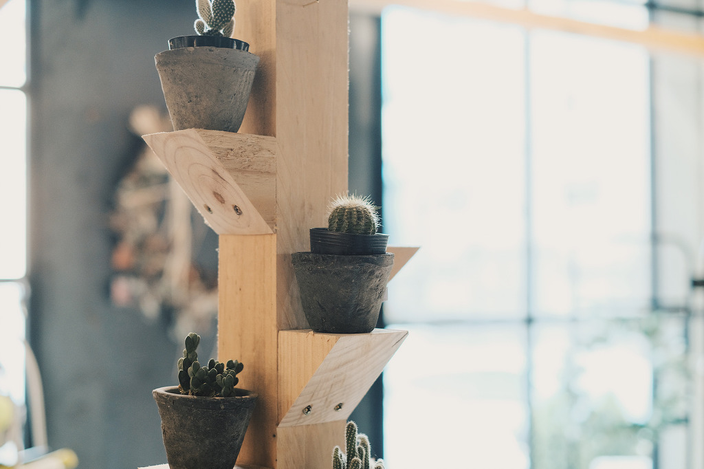 크리스마스에 찍은 소소한 스냅사진 | 인스티즈